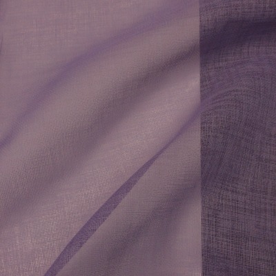 Iris Lavender 254