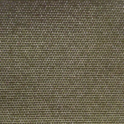 CANVAS829